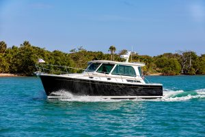 Back Cove 372